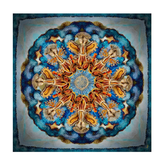 Mandala Haeckel I