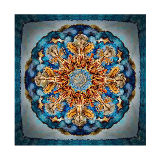 Haeckel Mandala I